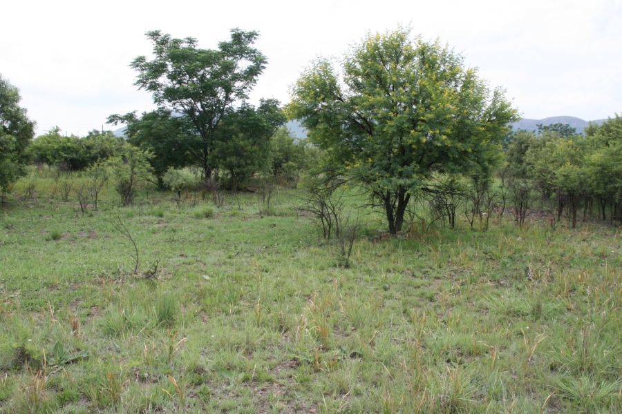 Commercial Property for Sale in La Camargue Private Country Estate North West